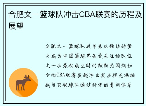 合肥文一篮球队冲击CBA联赛的历程及展望
